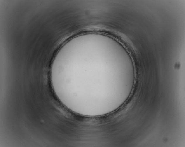 X0000102461217200808080936