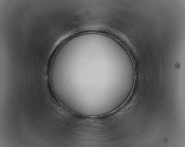 X0000102461218200808080936