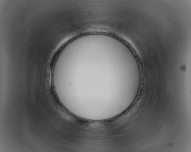 X0000102461219200808080936