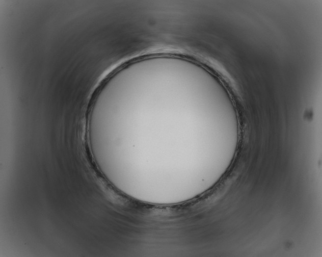 X0000102461220200808080936