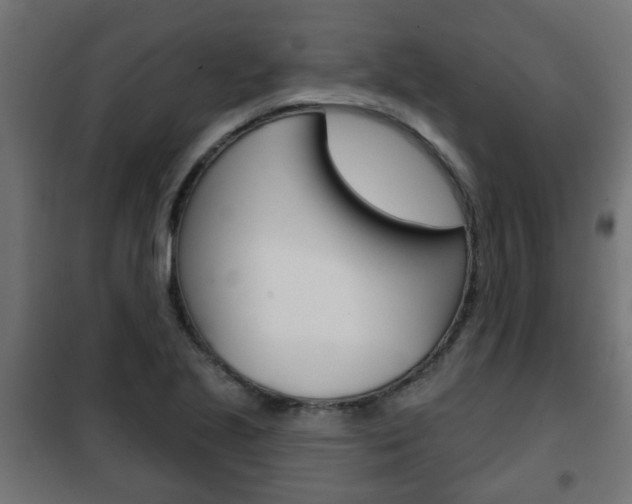 X0000102461221200808080936