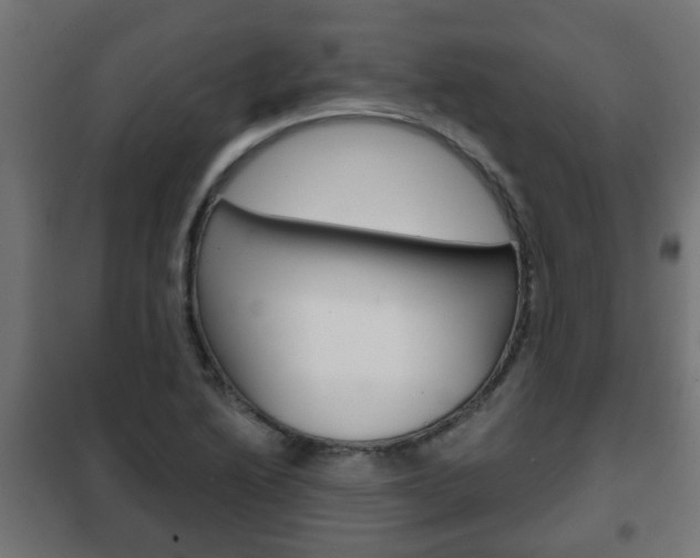 X0000102461222200808080936
