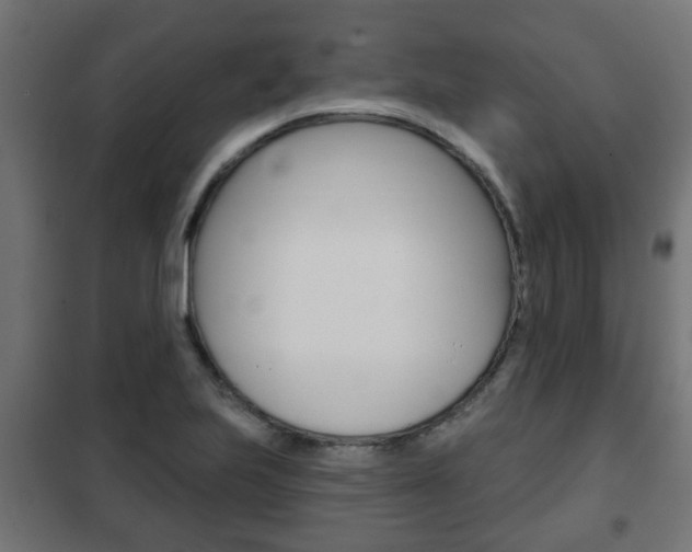 X0000102461223200808080936