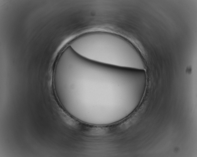 X0000102461224200808080936