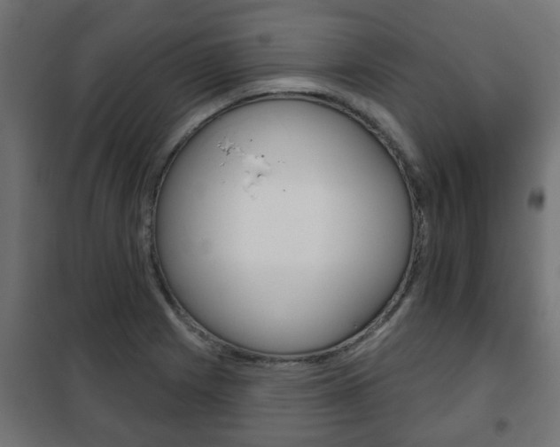 X0000102461225200808080936
