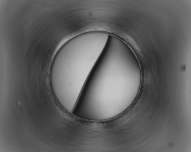 X0000102461226200808080936