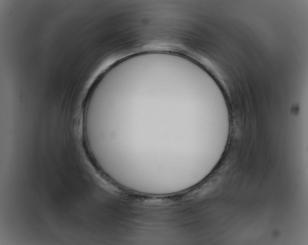 X0000102461227200808080936