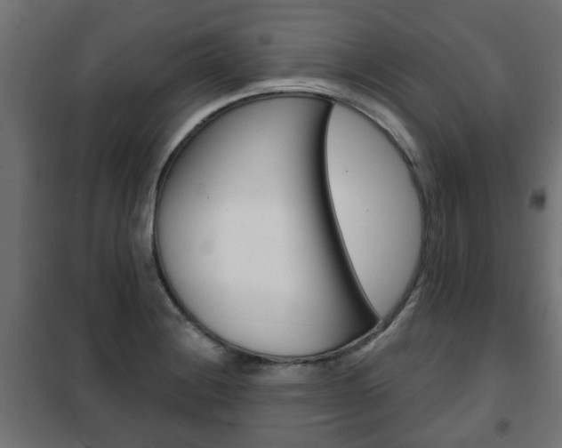 X0000102461228200808080936