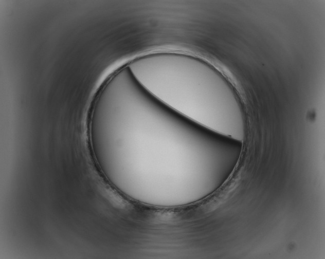 X0000102461230200808080936