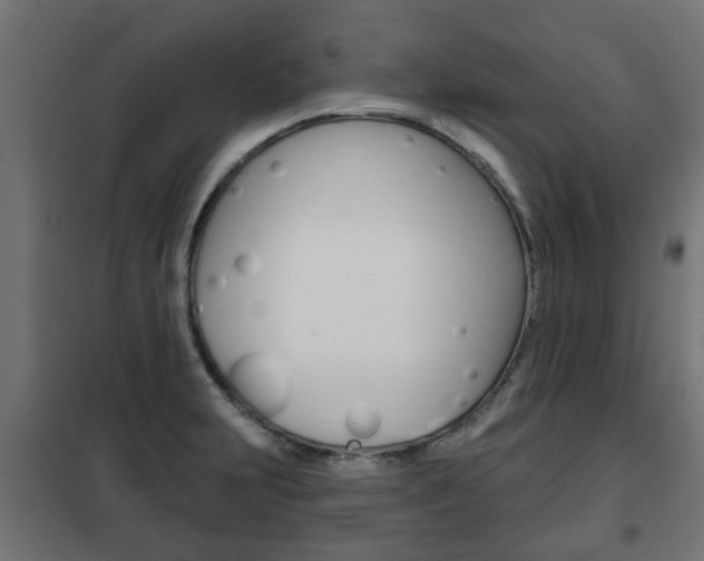 X0000102461231200808080936