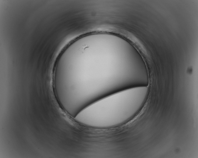 X0000102461232200808080936
