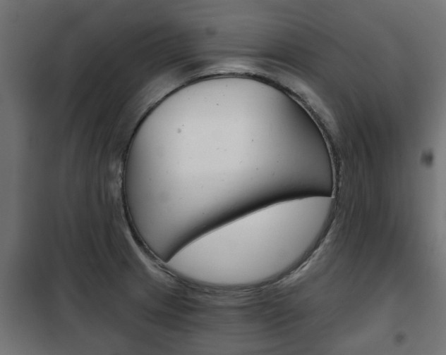 X0000102461233200808080936