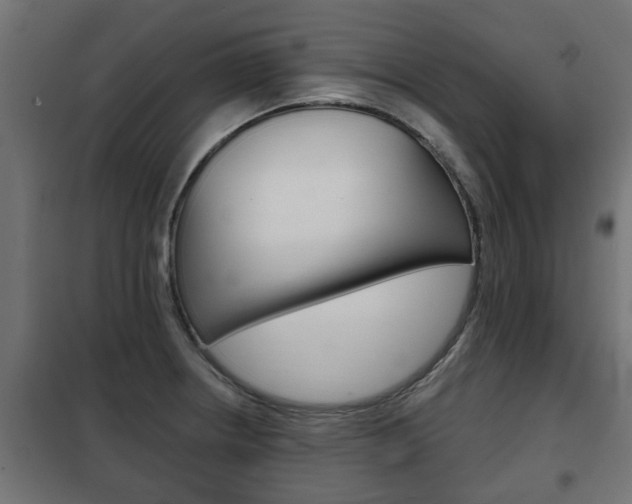 X0000102461234200808080936
