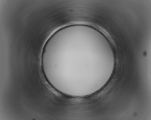 X0000102461236200808080937