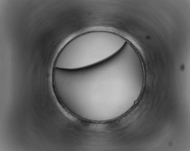 X0000102461237200808080937
