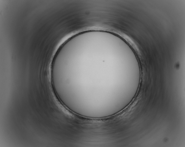 X0000102461238200808080937