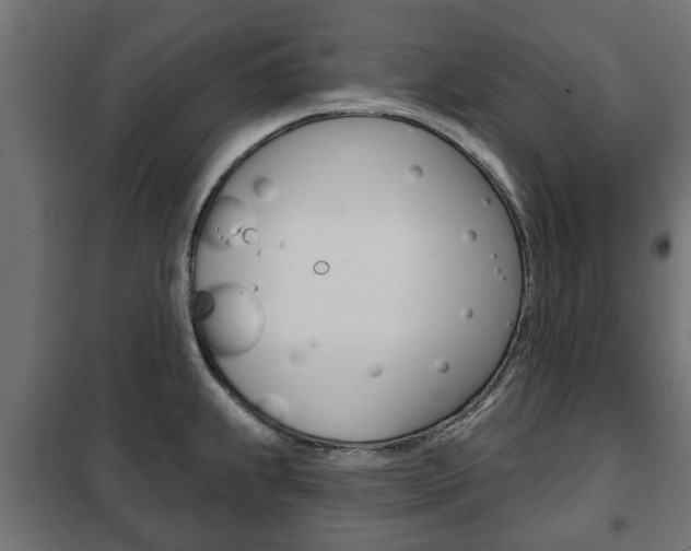 X0000102461239200808080937