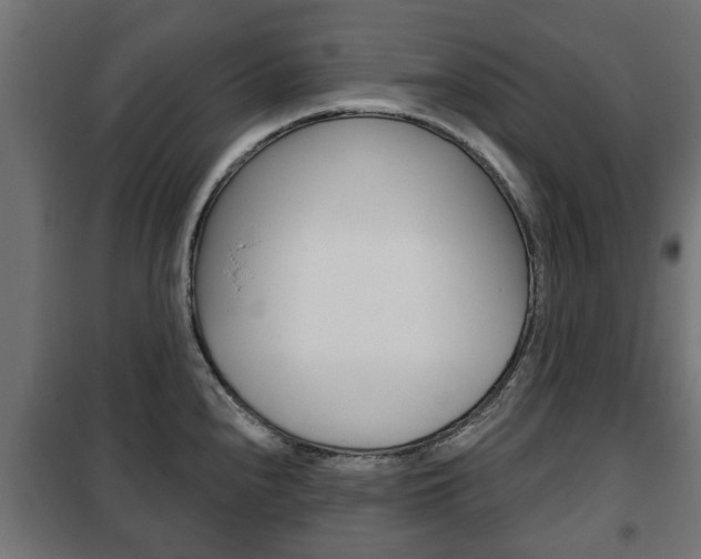X0000102461240200808080937