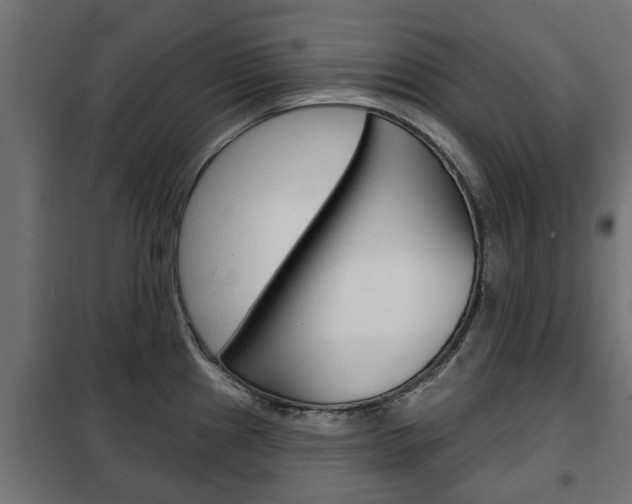 X0000102461241200808080937