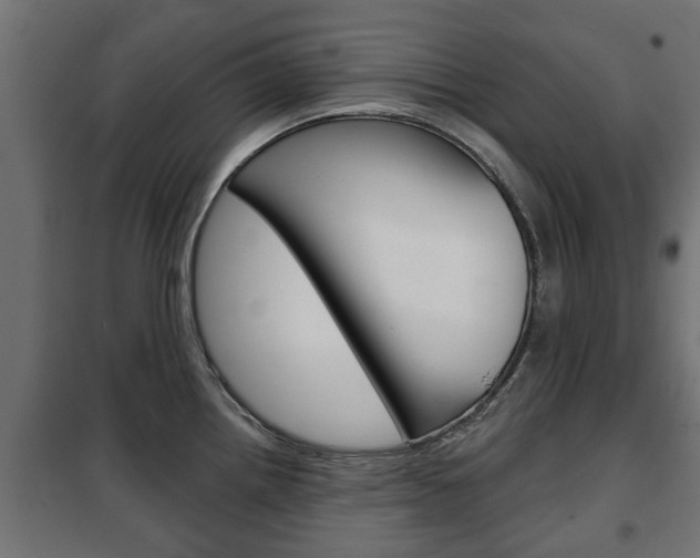 X0000102461242200808080937