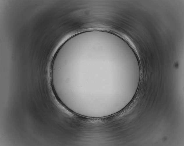 X0000102461243200808080937