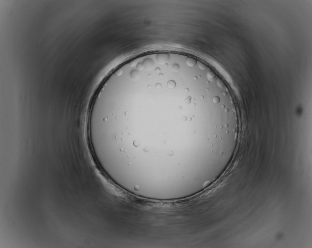 X0000102461245200808080937
