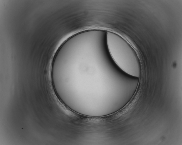 X0000102461246200808080937