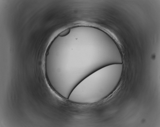 X0000102461247200808080937