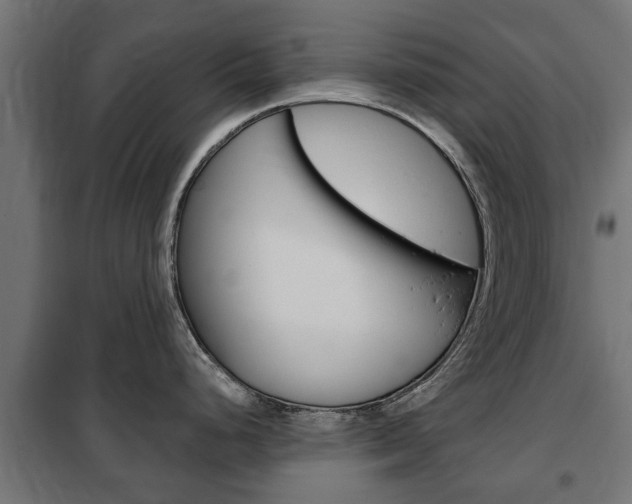 X0000102461248200808080937