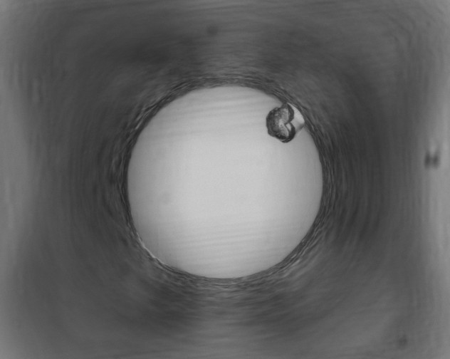 X0000102461249200808080936
