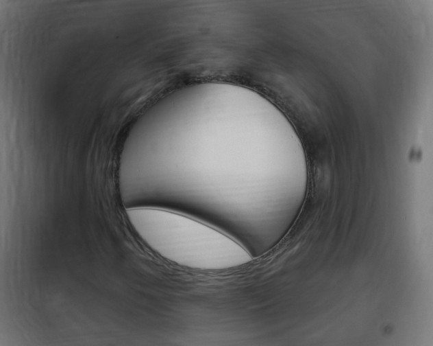 X0000102461250200808080936