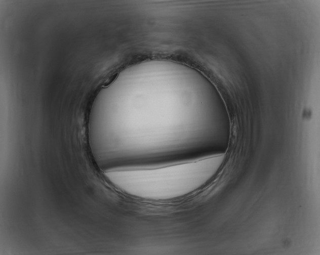 X0000102461252200808080936