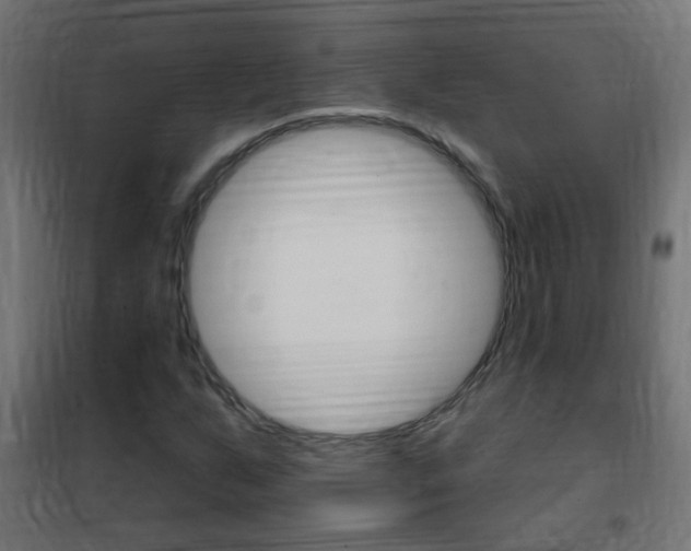X0000102461255200808080936