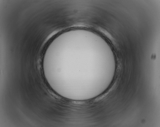 X0000102461258200808080936