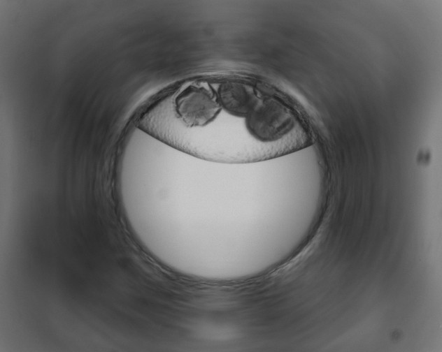 X0000102461259200808080936