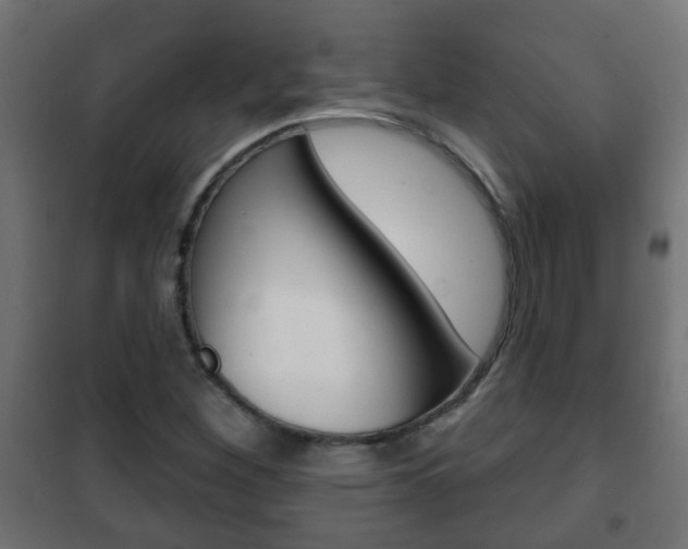 X0000102461260200808080936