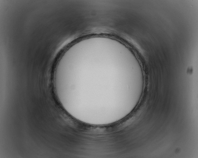 X0000102461261200808080936