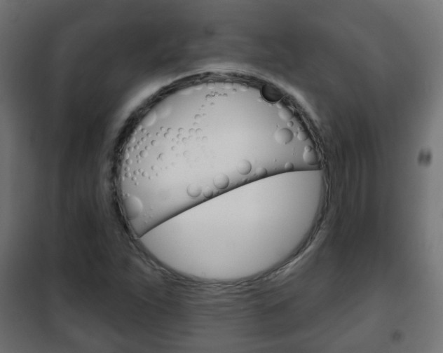 X0000102461263200808080936