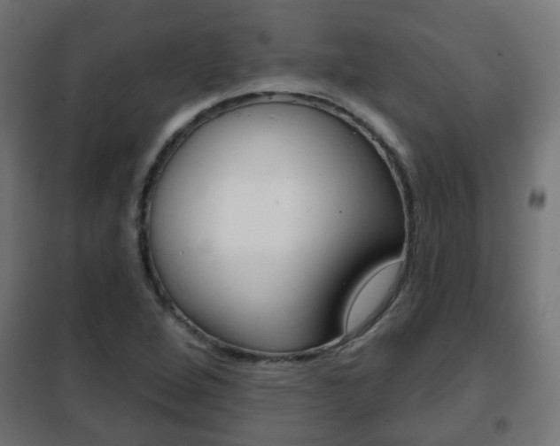 X0000102461264200808080936