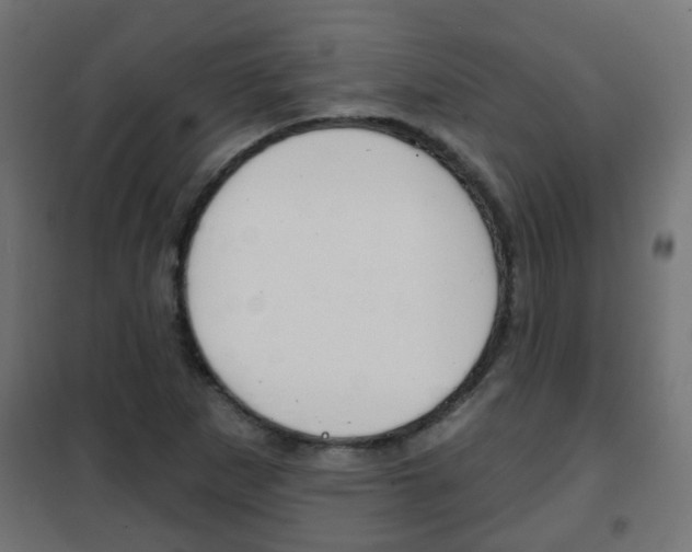 X0000102461265200808080936