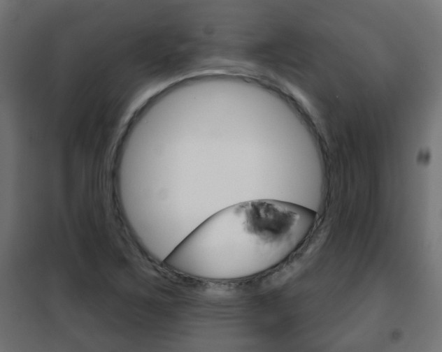 X0000102461267200808080936