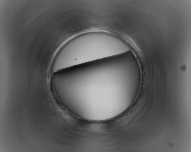 X0000102461268200808080936