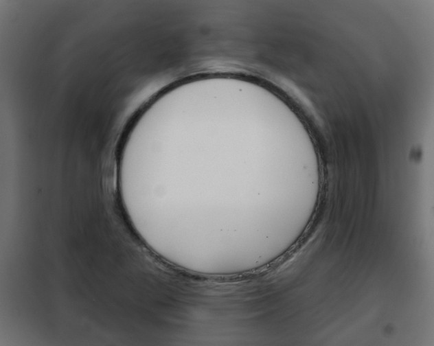 X0000102461269200808080936