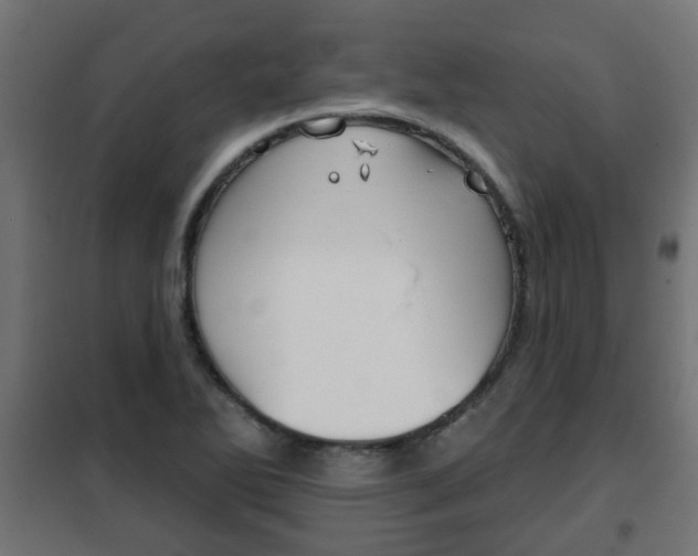 X0000102461270200808080936