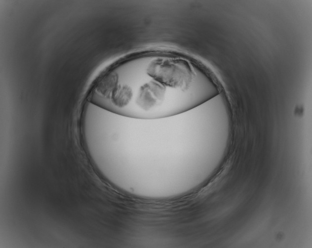 X0000102461271200808080936