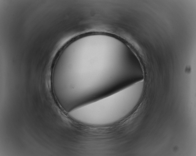 X0000102461272200808080936