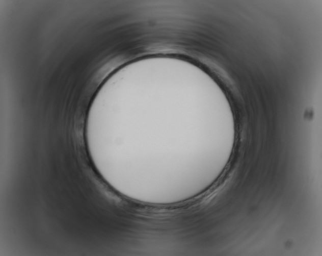 X0000102461273200808080936