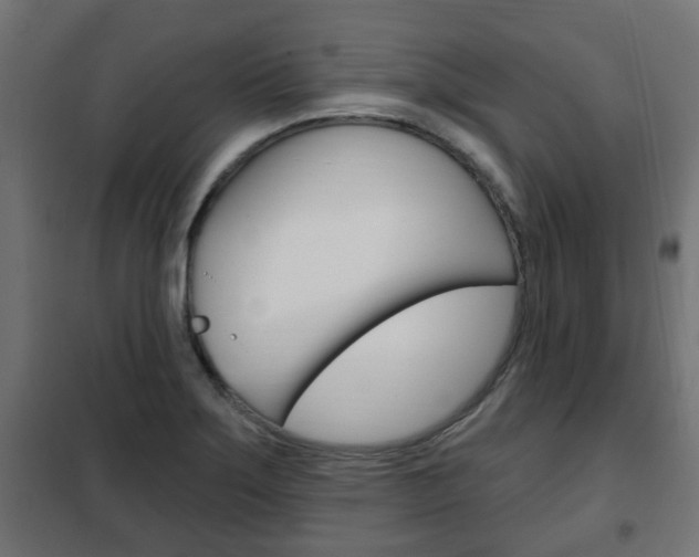 X0000102461275200808080935
