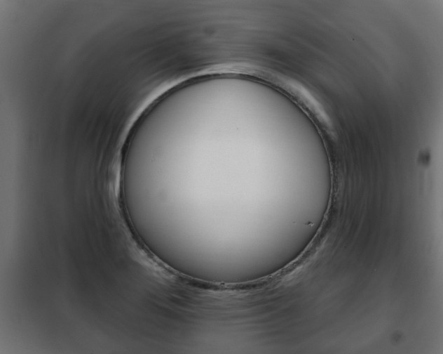 X0000102461276200808080935