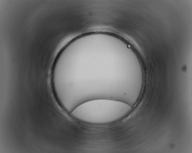 X0000102461277200808080935